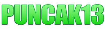 Logo PUNCAK13